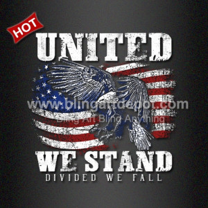 Heat Transfer DTF Film UNITED We Stand Vinyl for July 4th Shirt Heat Transfer DTF Film UNITED We Stand Vinyl for July 4th Shirt